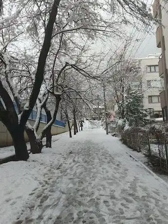 Photo de Hüdavendigar Mah. Çakal Deresi Parkı