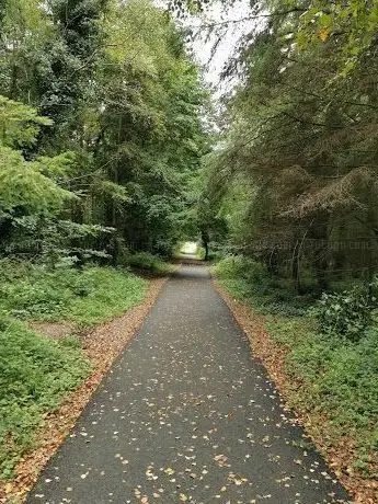 Creagh Woods