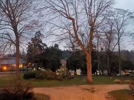 Photo de Motte Garden