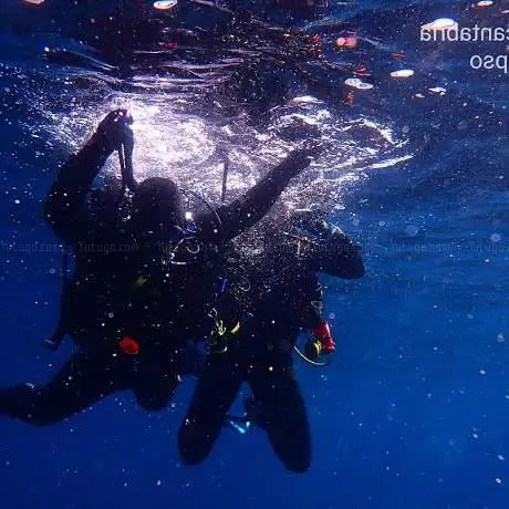 Photo de Club Buceo Calypso
