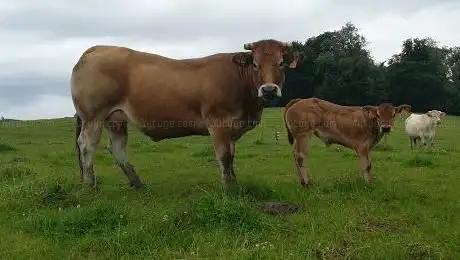 Photo de Ferme De La Boudinière