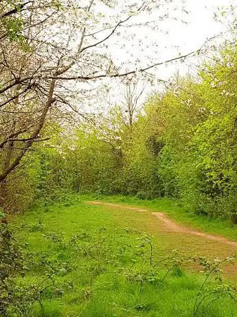 Photo de Topsham Millennium woodland