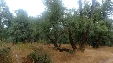 Photo de Le Val d'Ifrane
