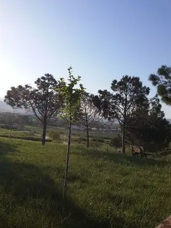 Photo de Kırçiçeği Parkı