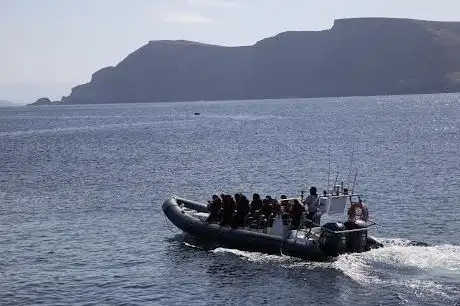 Photo de Achill sea safari