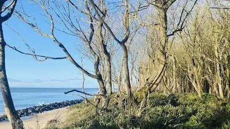 Raven Point