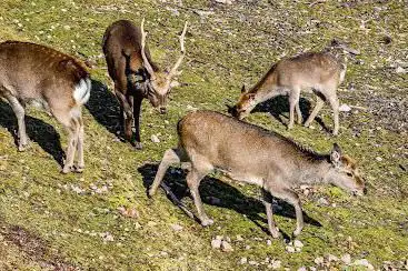 Photo de Wildlife reserve