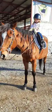 Photo de A cavallo ASD