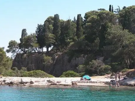 Photo de ARENA BOAT TOURS PULA- DOLPHIN & SUNSET TOUR WITH DINNER ( PULA- NP BRIJUNI)
