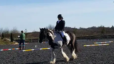 Photo de Blue Ridge Equestrian Centre