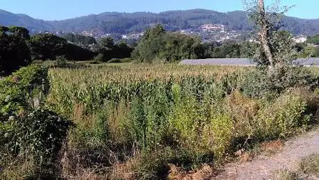 Photo de Campo de futbol Estoca  FC Tebra