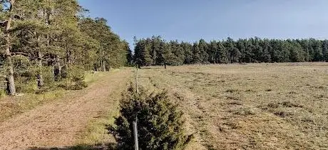 Photo de Gårdby sandhed (Natura 2000 nature reserve)
