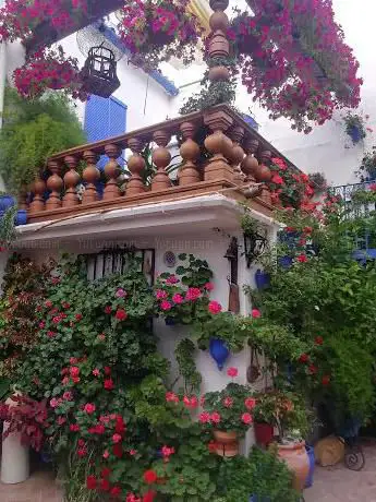 Photo de Patio de las Guzmanas
