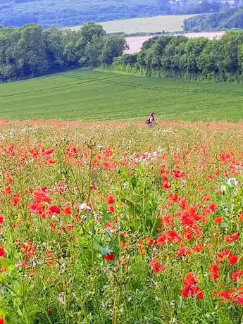 Photo de Boxley Warren