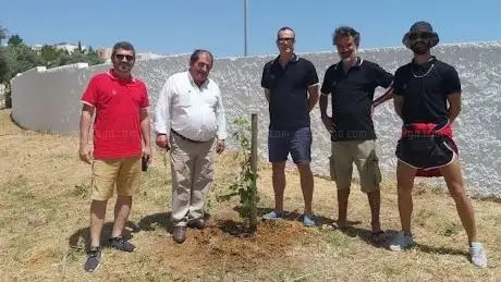 Photo de Árvore Imortal