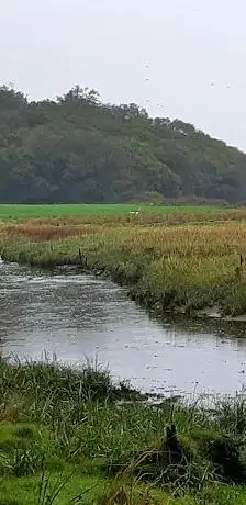 Photo de Tarbert Bird Hide