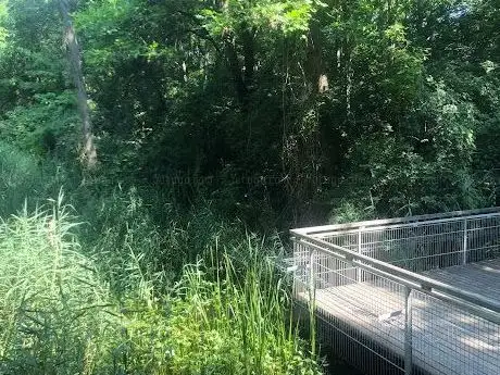 Photo de Lobau hiking trail  beavers' lodge