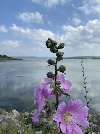 Photo de Lake Büyükçekmece