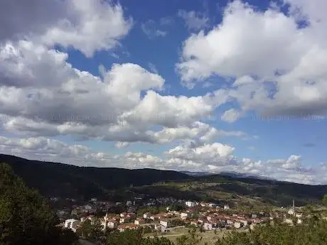 Photo of Police Memorial Forest
