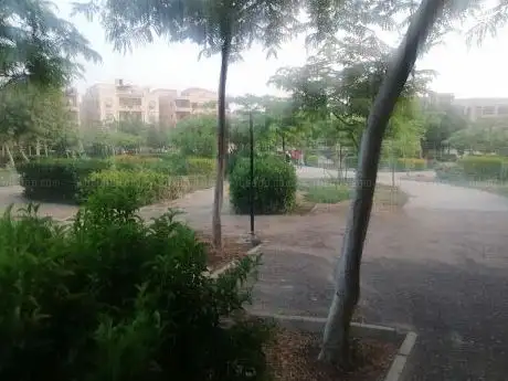 Photo de AUC Park
