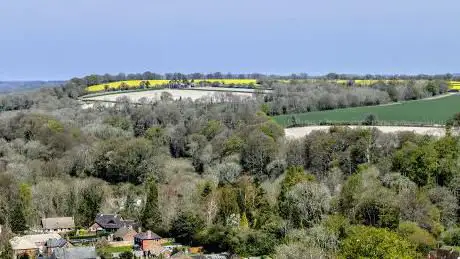 Photo de National Trust - Selborne Common