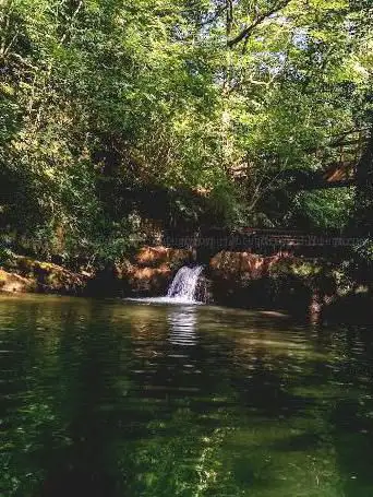 Photo de Arkaka putzua