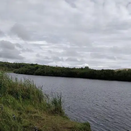 Photo de Grand Étang de la Maillouèyre