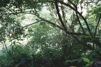 Photo de Ecological Garden