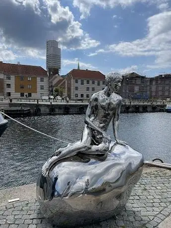 Photo de Little Mermaid Brother