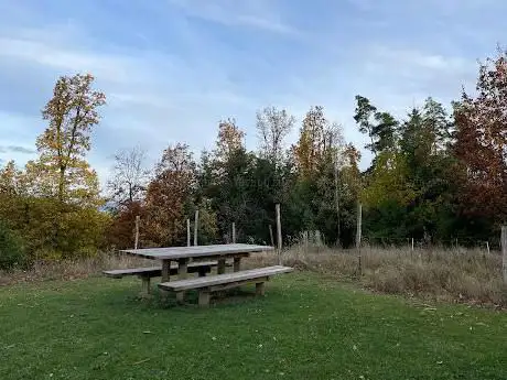 Photo de Jardin du bien-être