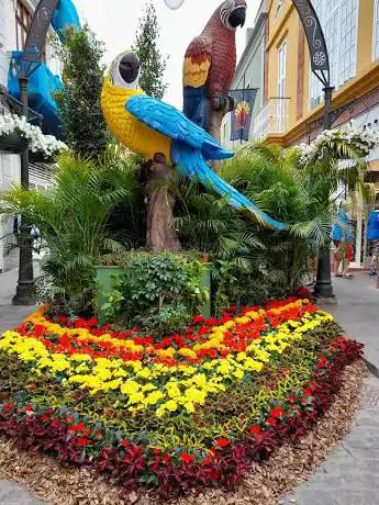 Photo de Romeria San Isidro En Tejina Tenerife