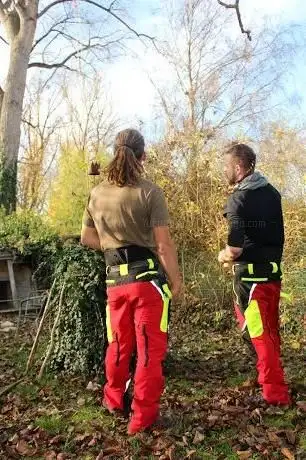 Photo de Baumpflege Tree Guard