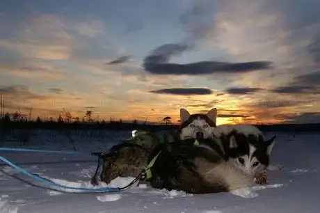 Photo de Aurora Borealis Adventures