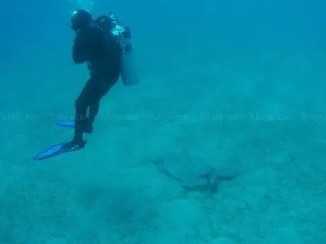 Photo de Tauchbasis Euro-Divers