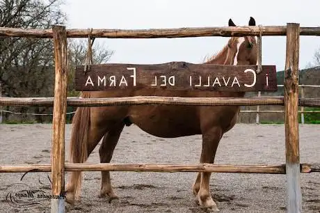 Photo de I cavalli del Farma asd