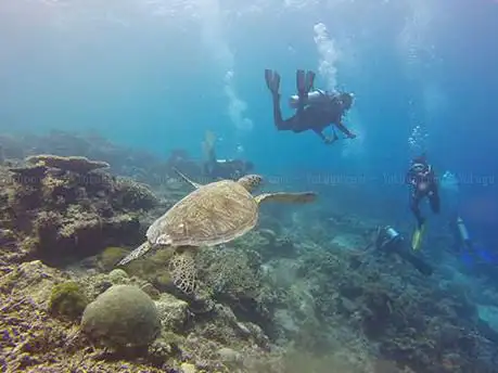 Photo de Saphira Dive