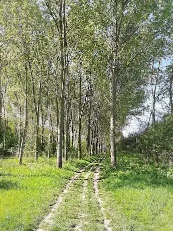 Photo de Šumarak u lejama
