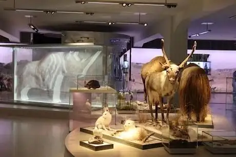 Photo de State Museum of Archaeology Chemnitz