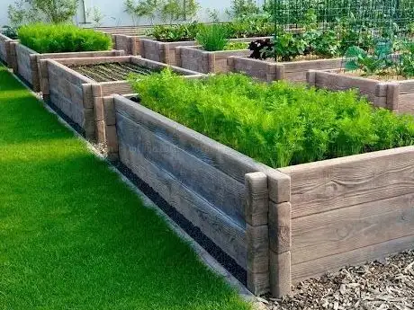 Photo de SEMAX - Hochbeete und Gartendekoration
