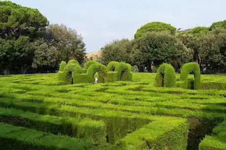 Photo de Parc du Labyrinthe d'Horta