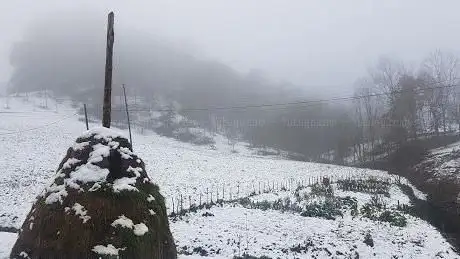 Photo de GOIZANE Zentroa