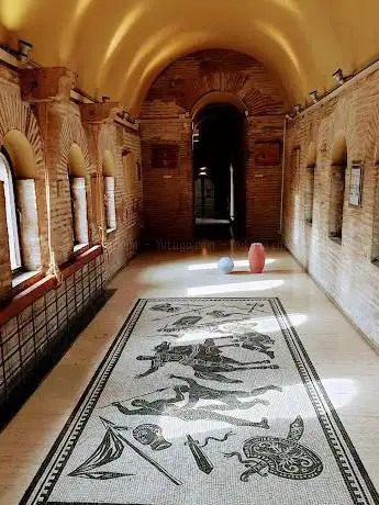 Photo de Musée des murs