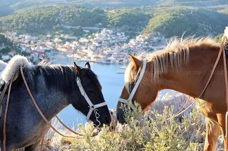 Photo de Horse riding Brač
