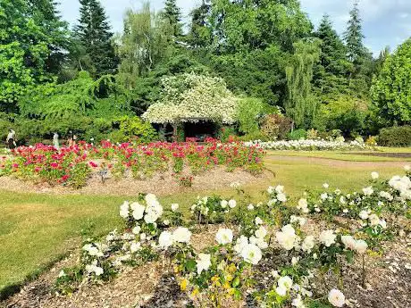 Photo de Roath Park Rose Garden