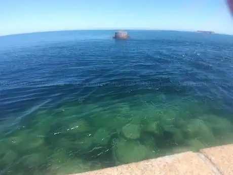 Photo de Pôle Plongée Normandie