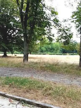 Foto de Motte Garden