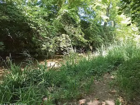 Photo de chemin