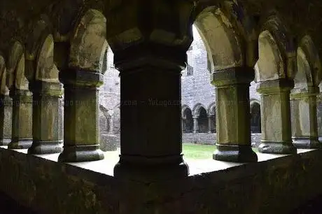 Photo de Moyne Abbey