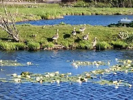Photo of Arboretum de la Sédelle
