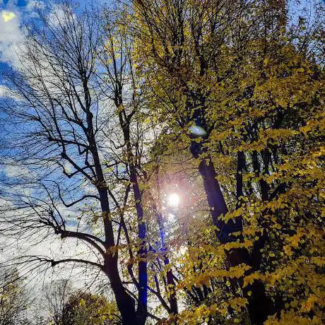 Photo de Campetto di basket